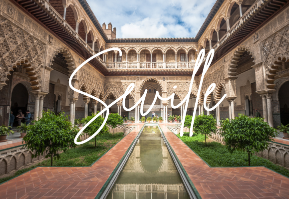 Paris City Guide